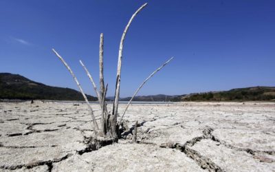 Water shortage in the Cape